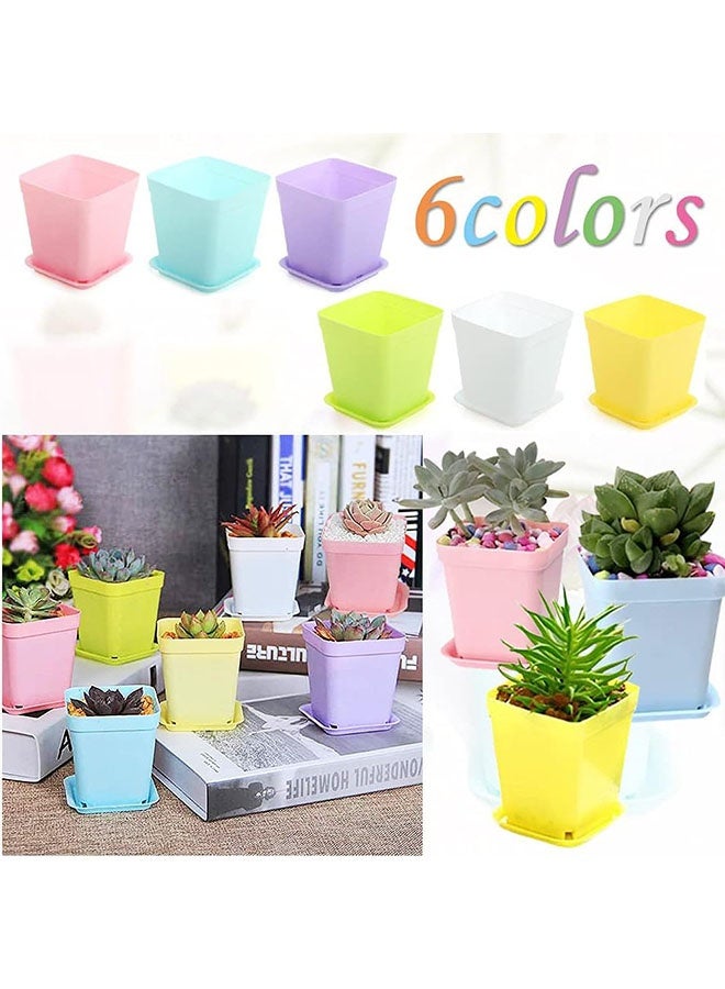 Geustos 48 Pack 3 Inch Colorful Plastic Plant Pot, Plastic Square Nursery Pots, Seedling Nursery Pots with Saucers for Garden, Home, Office, Porch Decor, Garden Gifts - Image 4
